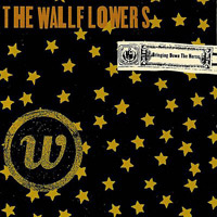 wallflowers_brining_horse